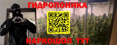 гашик Ирбит