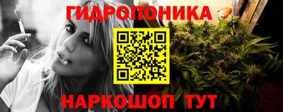 гашик Ирбит