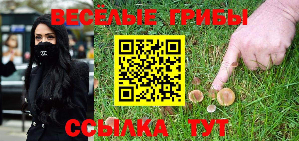 Галлюциногенные грибы Psilocybe  Вход с VPN  Дагестанские Огни  Псилоцибиновые грибы мицелий 